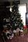 My First Christmas Experience