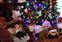 My First Christmas Experience